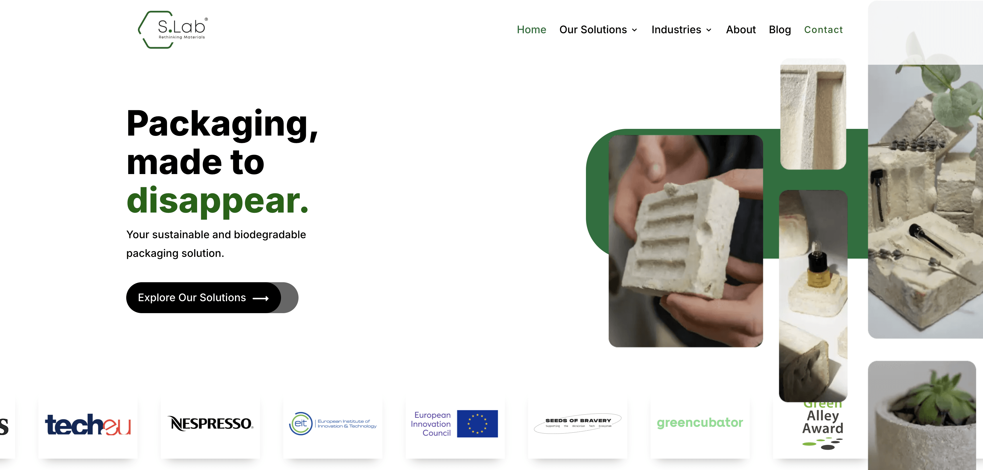 Ukrainian tech professionals collaborating remotely and resiliently